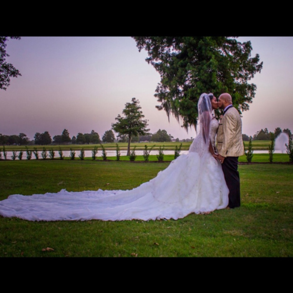 GORGEOUS Wedding Dress - Picture 4 of 8